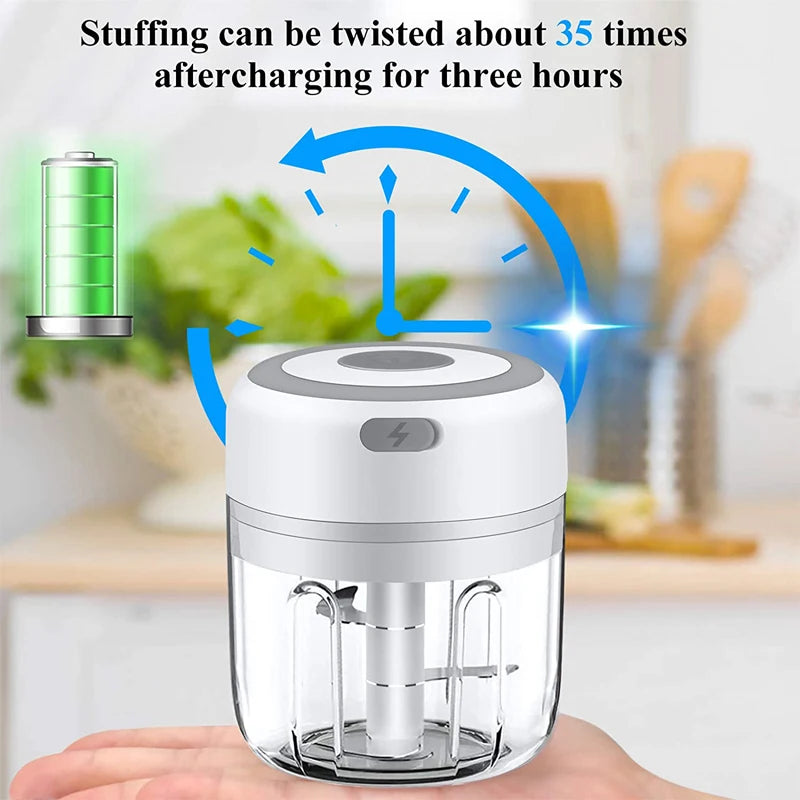 100/250mL Mini Electric Garlic Chopper Powerful Garlic Mincer USB Charging